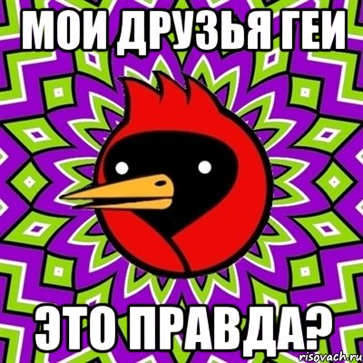 Мои друзья геи Это правда?, Мем Омская птица