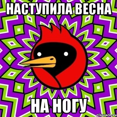 наступила весна на ногу, Мем Омская птица