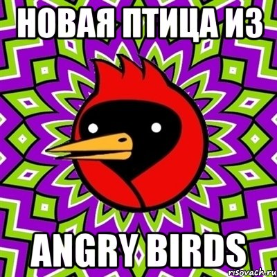 новая птица из angry birds, Мем Омская птица