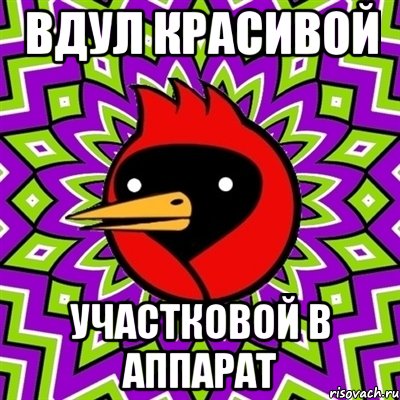 вдул красивой участковой в аппарат, Мем Омская птица