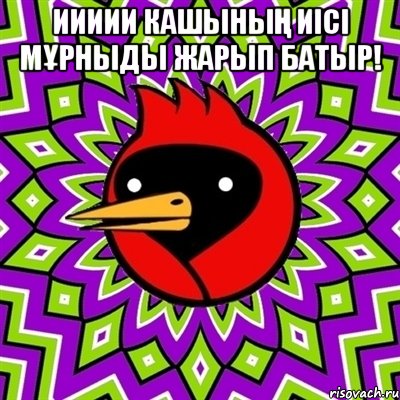 иииии кашының иісі мұрныды жарып батыр! , Мем Омская птица