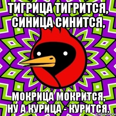Тигрица тигрится, синица синится, мокрица мокрится, ну а курица - курится., Мем Омская птица