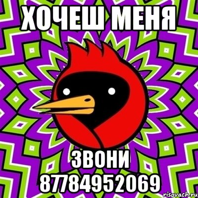 хочеш меня звони 87784952069, Мем Омская птица