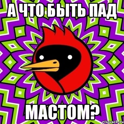 А что быть пад Мастом?, Мем Омская птица