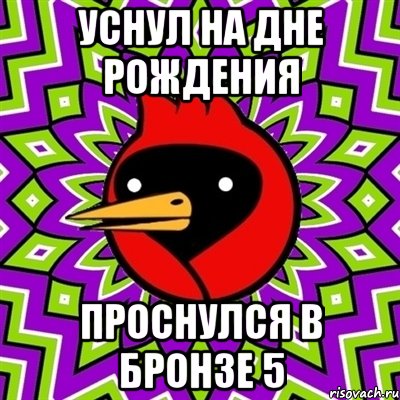 Уснул на дне рождения Проснулся в бронзе 5, Мем Омская птица