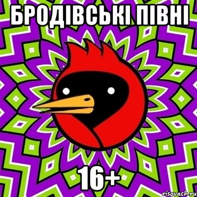 Бродівські півні 16+, Мем Омская птица