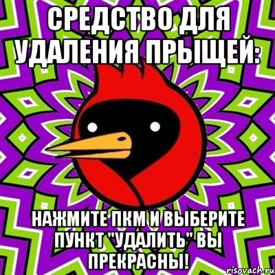 Средство для удаления прыщей: Нажмите пкм и выберите пункт "удалить" вы прекрасны!, Мем Омская птица