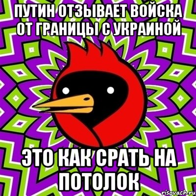 Путин отзывает войска от границы с Украиной Это как срать на потолок, Мем Омская птица