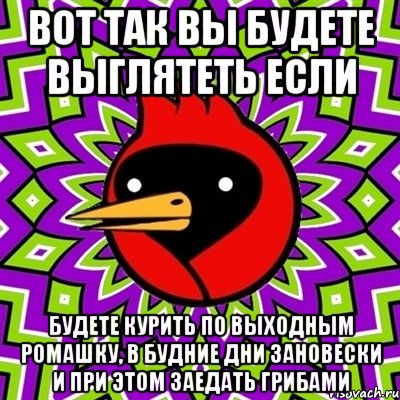 ВОТ ТАК ВЫ БУДЕТЕ ВЫГЛЯТЕТЬ ЕСЛИ БУДЕТЕ КУРИТЬ ПО ВЫХОДНЫМ РОМАШКУ, В БУДНИЕ ДНИ ЗАНОВЕСКИ И ПРИ ЭТОМ ЗАЕДАТЬ ГРИБАМИ, Мем Омская птица