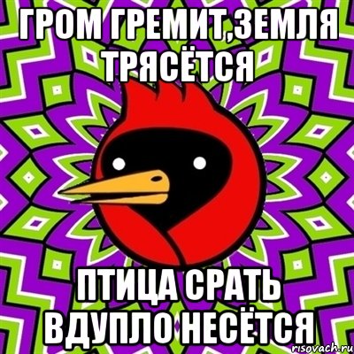 гРОМ ГРЕМИТ,ЗЕМЛЯ ТРЯСЁТСЯ ПТИЦА СРАТЬ ВДУПЛО НЕСЁТСЯ, Мем Омская птица