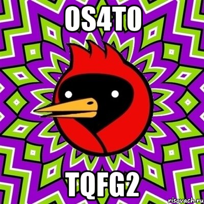 OS4t0 TqfG2, Мем Омская птица