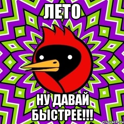 Лето ну давай быстрее!!!, Мем Омская птица