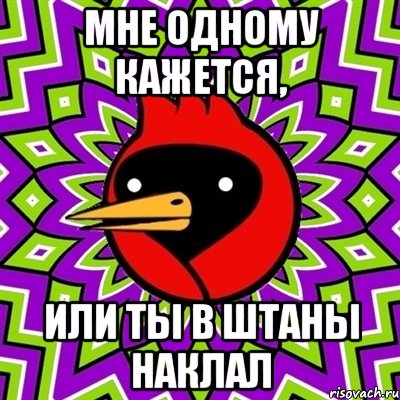 Мне одному кажется, или ты в штаны наклал, Мем Омская птица