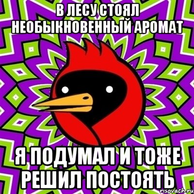 В лесу стоял необыкновенный аромат Я подумал и тоже решил постоять, Мем Омская птица