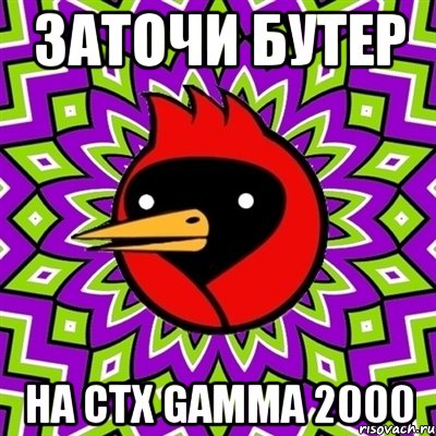 Заточи бутер на CTX gamma 2000, Мем Омская птица