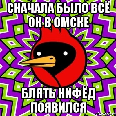 Сначала было всё ок в омске БЛЯТЬ Нифёд появился, Мем Омская птица