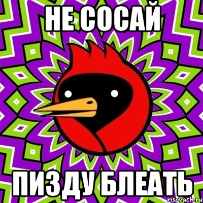 не сосай пизду блеать, Мем Омская птица