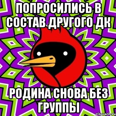 ПОПРОСИЛИСЬ В СОСТАВ ДРУГОГО ДК РОДИНА СНОВА БЕЗ ГРУППЫ, Мем Омская птица