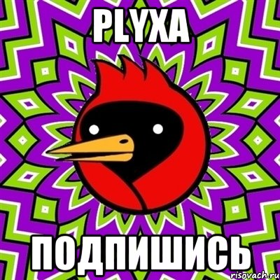 PLYXA подпишись, Мем Омская птица