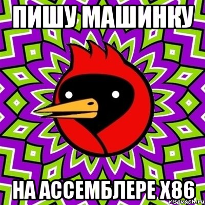 Пишу машинку На ассемблере x86, Мем Омская птица