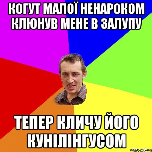когут малої ненароком клюнув мене в залупу тепер кличу його кунілінгусом, Мем Чоткий паца