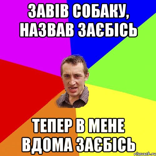 завів собаку, назвав заєбісь тепер в мене вдома заєбісь, Мем Чоткий паца