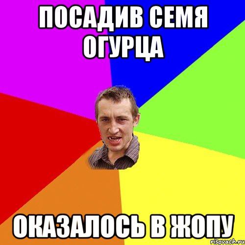 Посадив семя огурца оказалось в жопу, Мем Чоткий паца