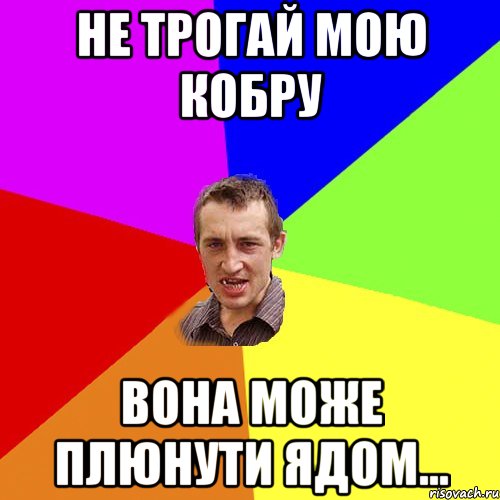Не трогай мою кобру вона може плюнути ядом..., Мем Чоткий паца