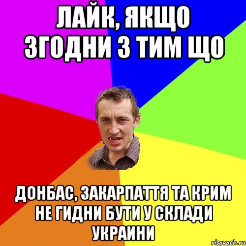 Лайк, якщо згодни з тим що Донбас, Закарпаття та Крим не гидни бути у склади Украини, Мем Чоткий паца