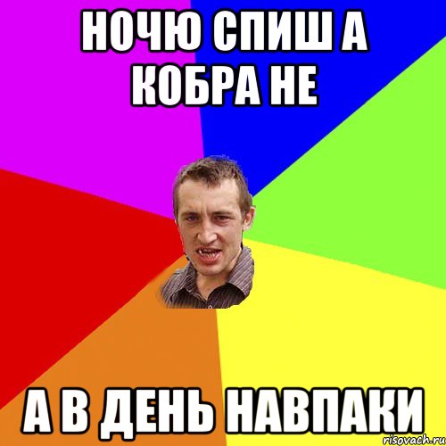 ночю спиш а кобра не а в день навпаки, Мем Чоткий паца
