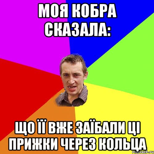 Моя кобра сказала: Що її вже заїбали ці прижки через кольца, Мем Чоткий паца