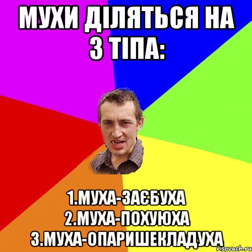 Мухи дiляться на 3 тiпа: 1.Муха-заєбуха 2.Муха-похуюха 3.Муха-опаришекладуха, Мем Чоткий паца