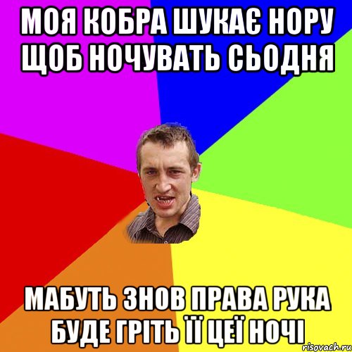 моя кобра шукає нору щоб ночувать сьодня мабуть знов права рука буде гріть її цеї ночі, Мем Чоткий паца