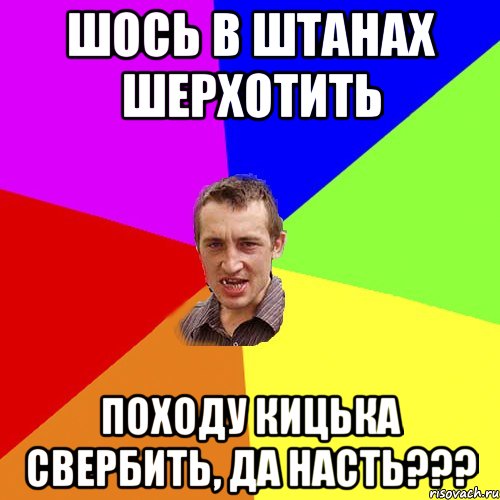 шось в штанах шерхотить походу кицька свербить, да Насть???, Мем Чоткий паца