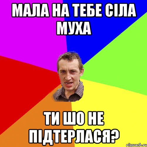 МАЛА НА ТЕБЕ СІЛА МУХА ТИ ШО НЕ ПІДТЕРЛАСЯ?, Мем Чоткий паца