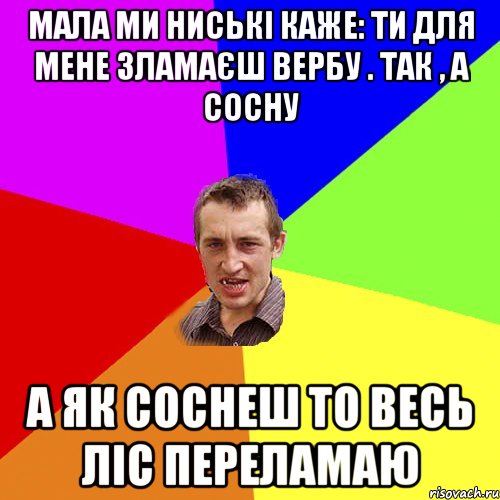 мала ми ниські каже: ти для мене зламаєш вербу . так , а сосну а як соснеш то весь ліс переламаю, Мем Чоткий паца