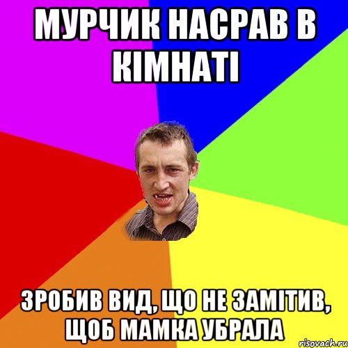 Мурчик насрав в кімнаті Зробив вид, що не замітив, щоб мамка убрала, Мем Чоткий паца