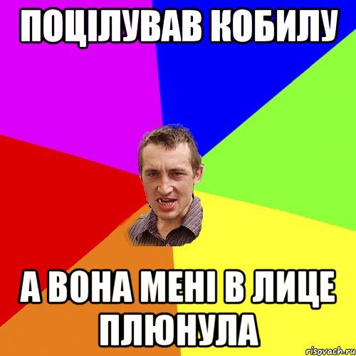 Поцілував кобилу а вона мені в лице плюнула, Мем Чоткий паца