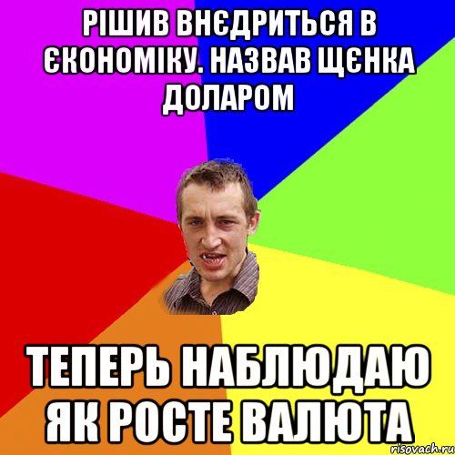 Рішив внєдриться в єкономіку. Назвав щєнка Доларом Теперь наблюдаю як росте валюта, Мем Чоткий паца