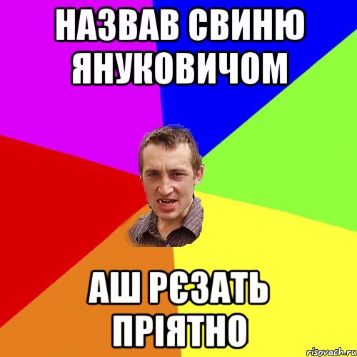 Назвав свиню Януковичом Аш рєзать пріятно, Мем Чоткий паца