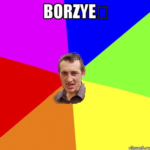 Borzye♔ , Мем Чоткий паца