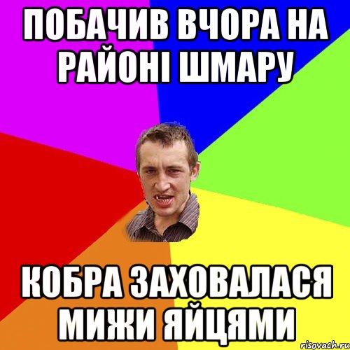 Побачив вчора на районі шмару Кобра заховалася мижи яйцями, Мем Чоткий паца