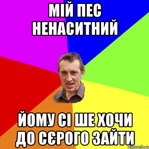 Мій пес ненаситний Йому сі ше хочи до сєрого зайти, Мем Чоткий паца