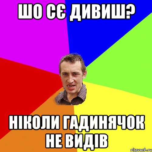 шо сє дивиш? ніколи гадинячок не видів, Мем Чоткий паца