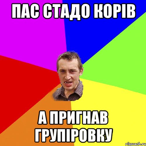 Пас стадо корів а пригнав групіровку, Мем Чоткий паца