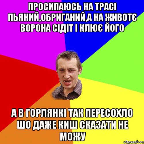 просипаюсь на трасі пьяний,обриганий,а на животє ворона сідіт і клює його а в горлянкі так пересохло шо даже киш сказати не можу, Мем Чоткий паца