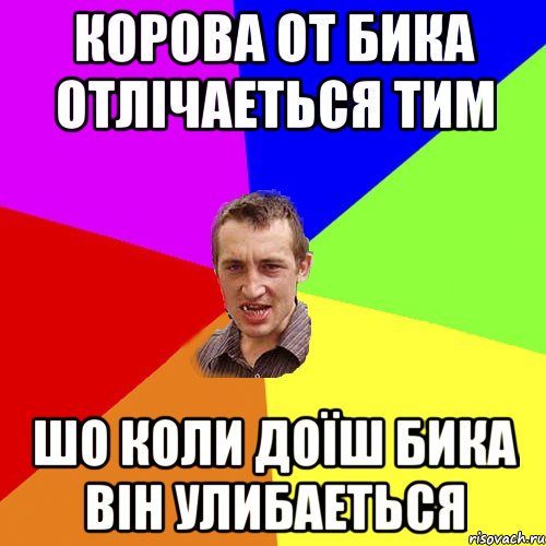 КОРОВА ОТ БИКА ОТЛІЧАЕТЬСЯ ТИМ ШО КОЛИ ДОЇШ БИКА ВІН УЛИБАЕТЬСЯ, Мем Чоткий паца