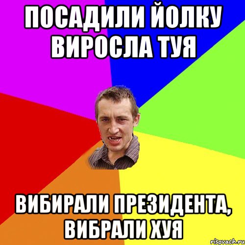 посадили йолку виросла Туя вибирали президента, вибрали хуя, Мем Чоткий паца