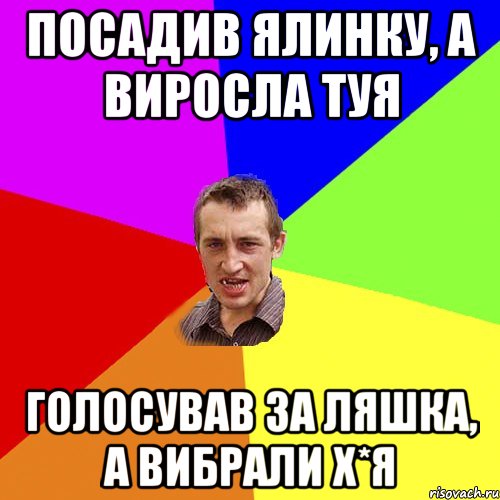 Посадив ялинку, а виросла туя Голосував за Ляшка, а вибрали Х*Я, Мем Чоткий паца