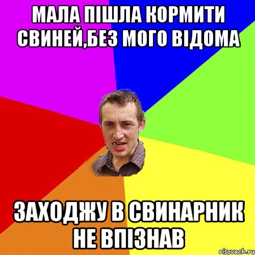 Мала пішла кормити свиней,без мого відома заходжу в свинарник не впізнав, Мем Чоткий паца